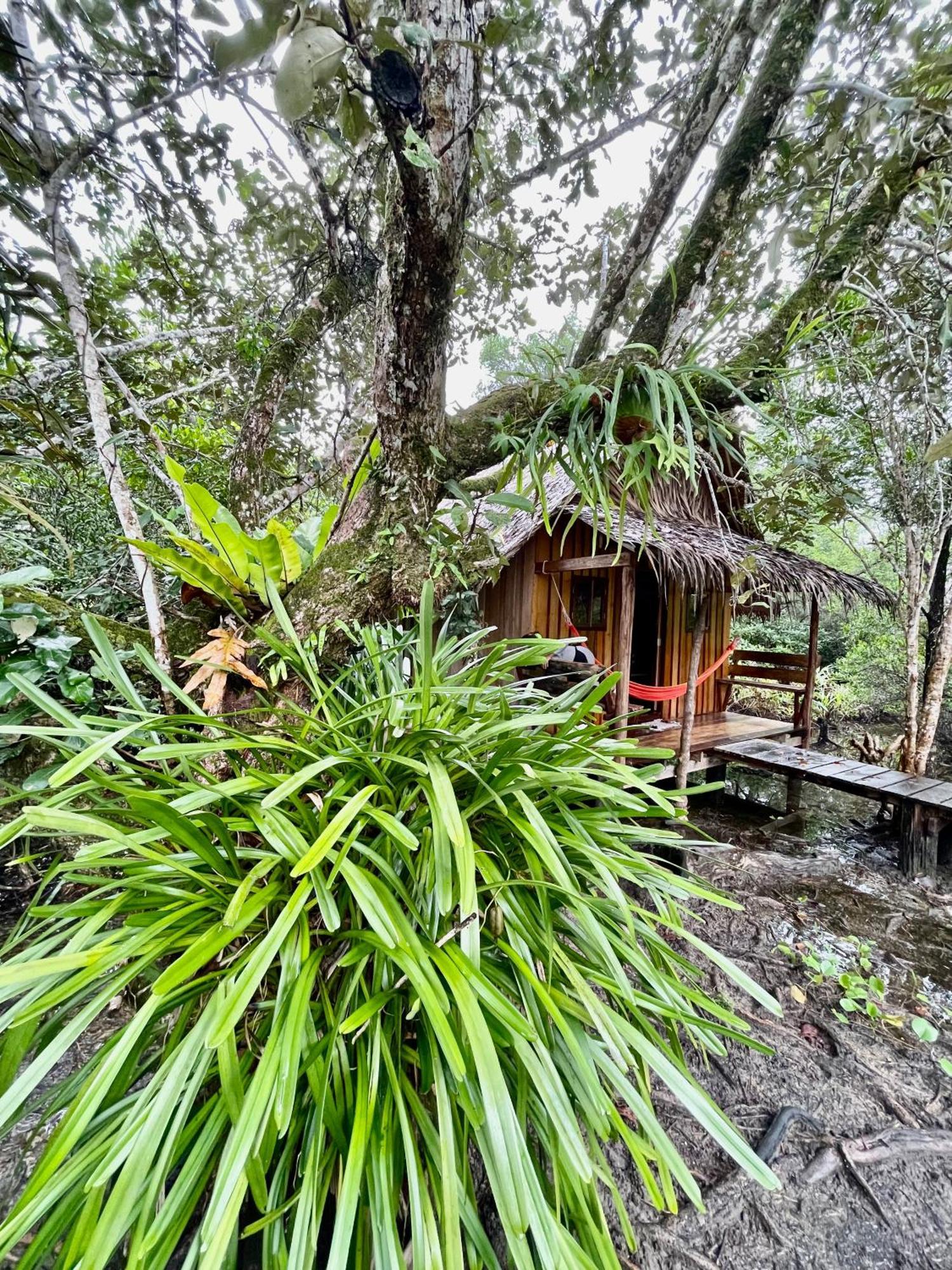 Lily'S Riverhouse Prek Svay Village Exterior foto